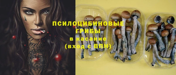 а пвп мука Армянск