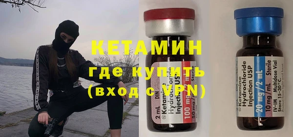индика Арсеньев