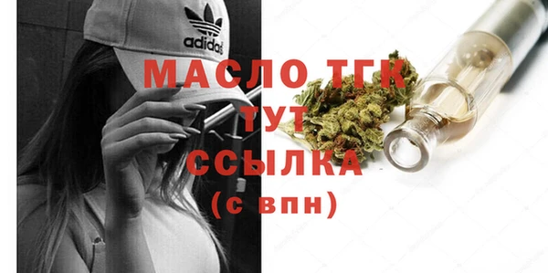 индика Арсеньев