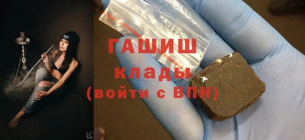 индика Арсеньев