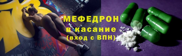 индика Арсеньев