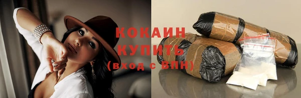 индика Арсеньев