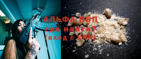 индика Арсеньев
