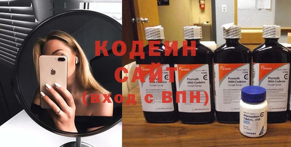 индика Арсеньев