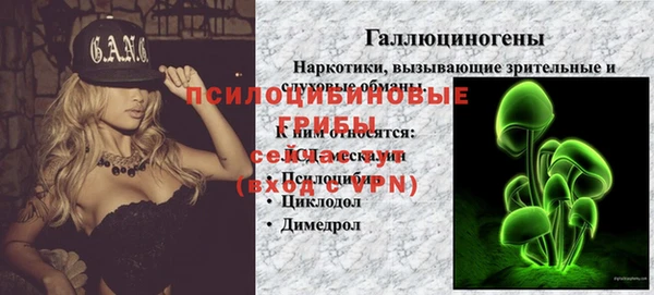 индика Арсеньев