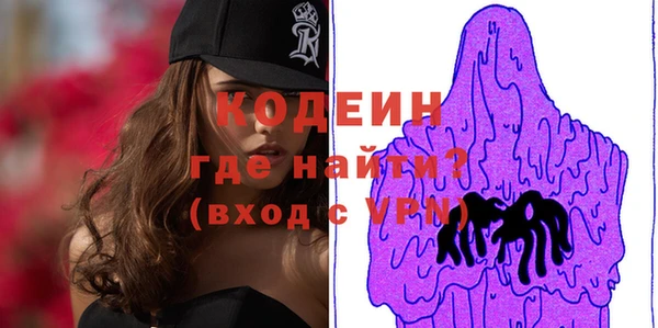 индика Арсеньев