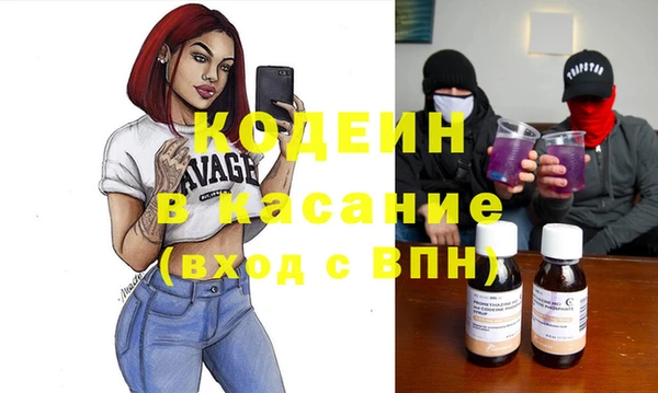 индика Арсеньев