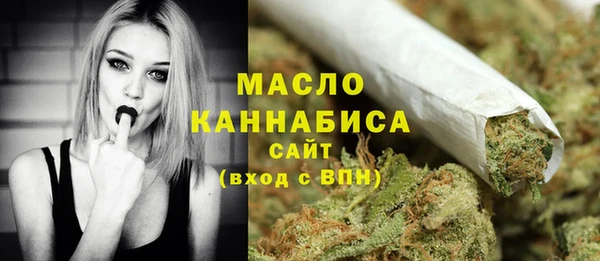 индика Арсеньев