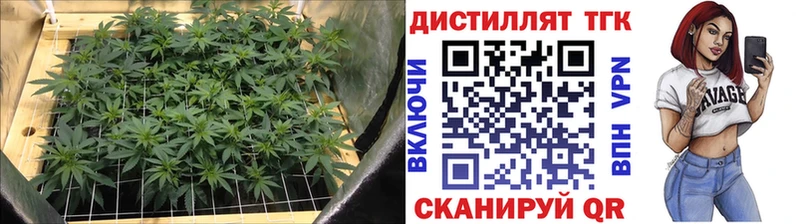 Дистиллят ТГК гашишное масло  Циолковский 
